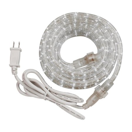 DIAMOND SPARKLE 24 ft. Decorative Clear Rope Light DI2514194